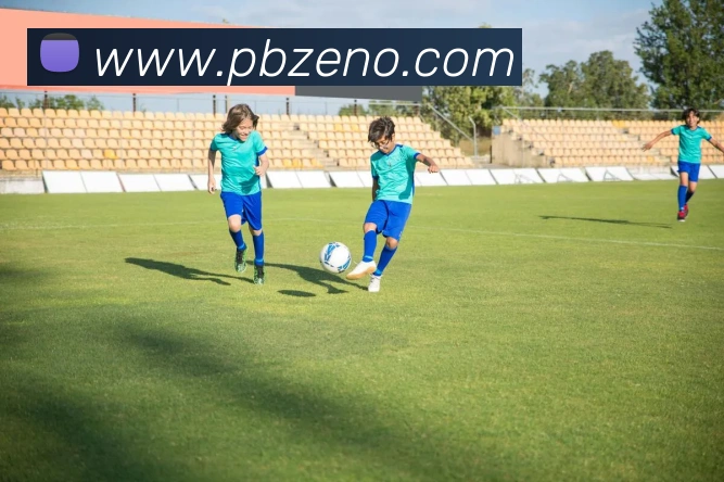 平博平台生态图